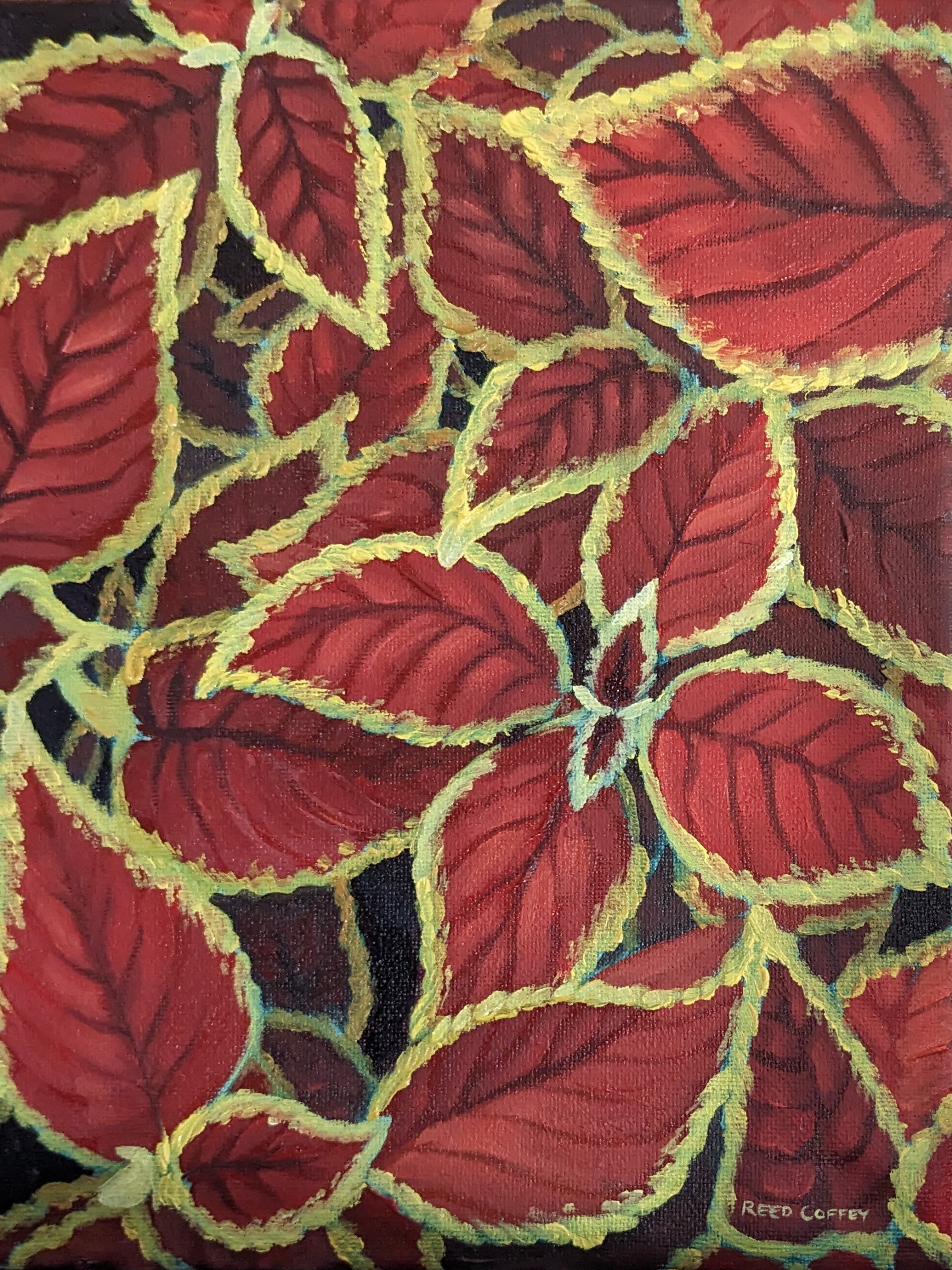 Oil painting of a Blue Glow agave.