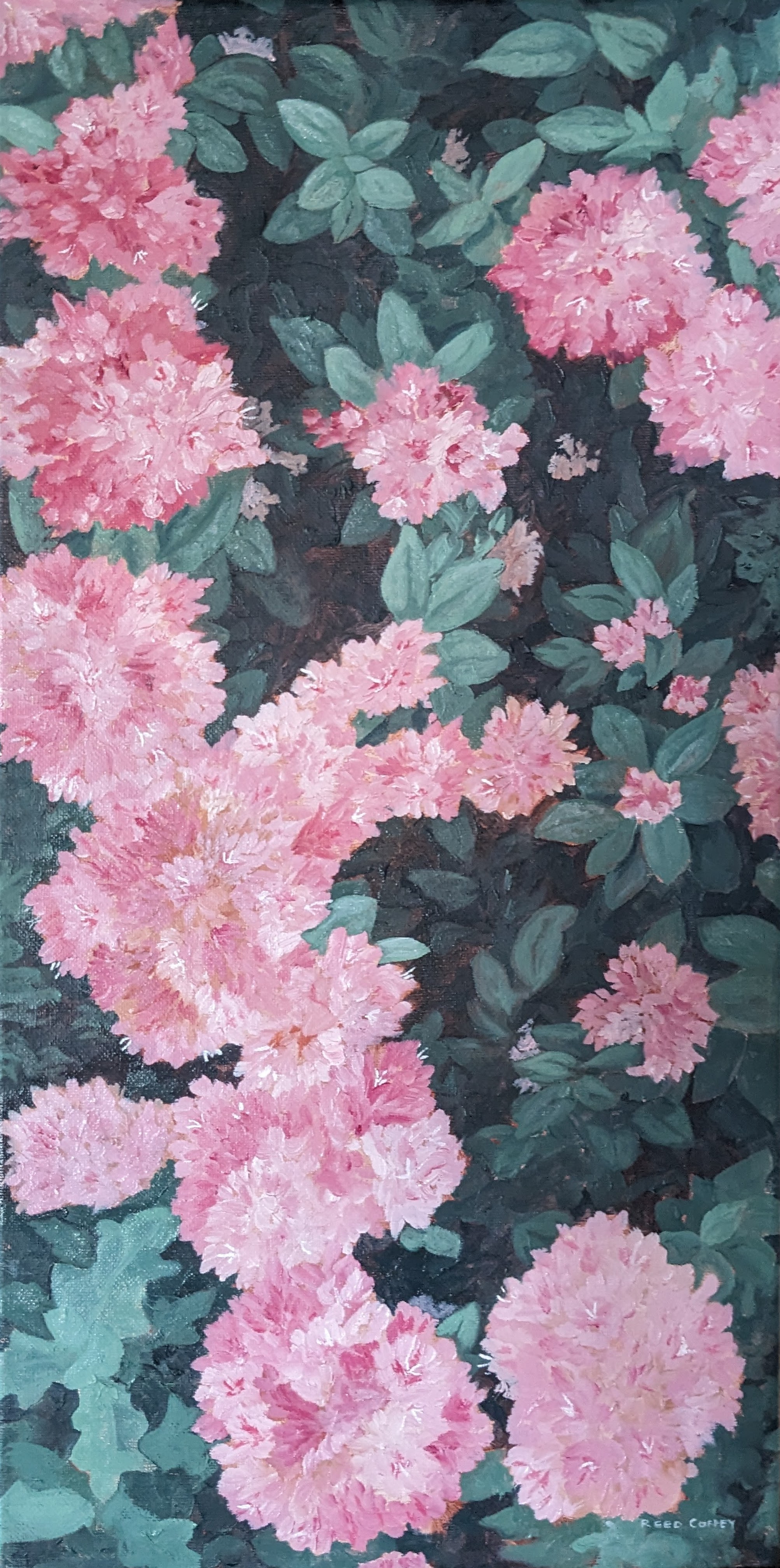 Oil painting some bink buckwheat flowers..