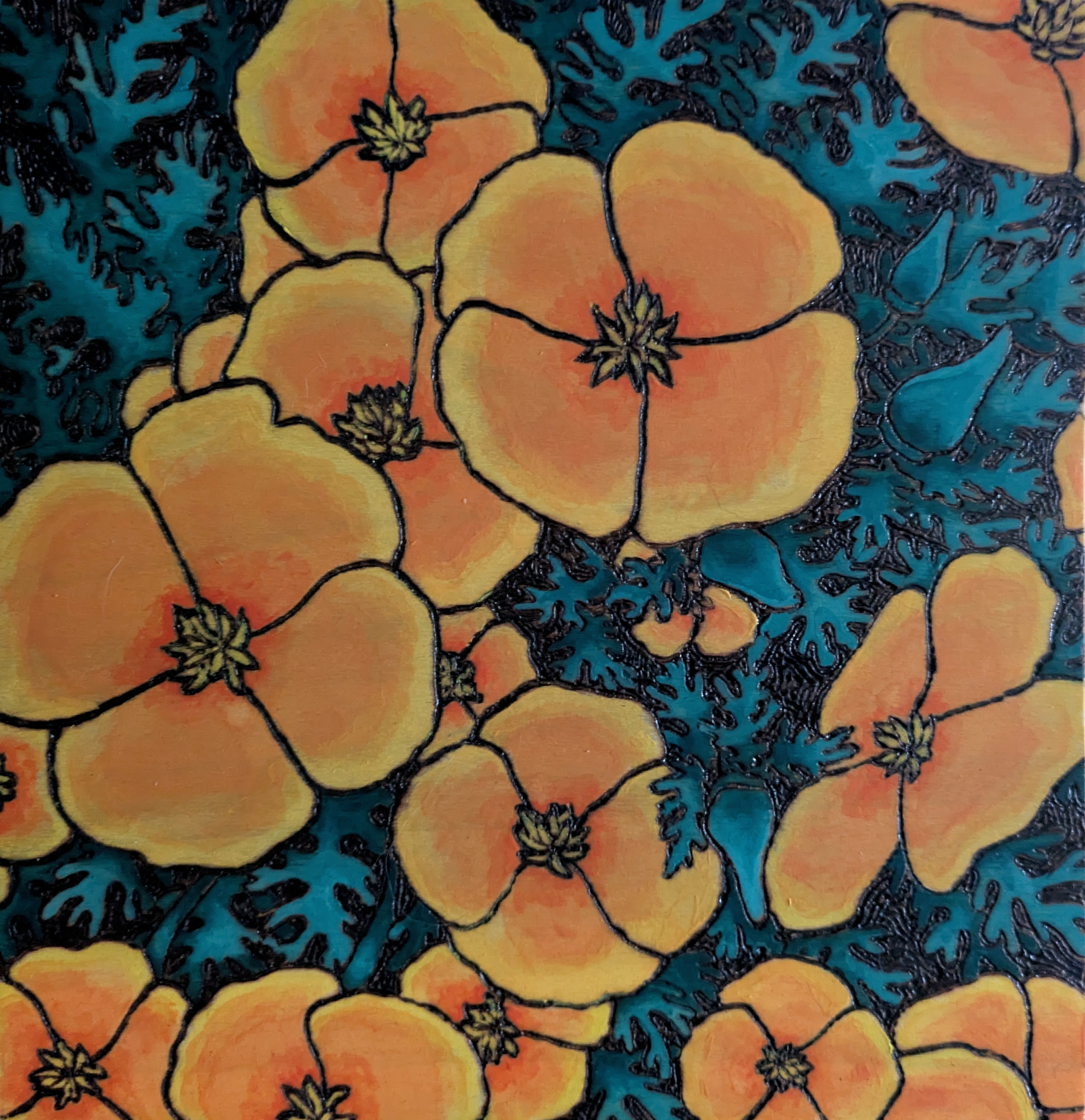 Pyrography and watercolor of California poppies